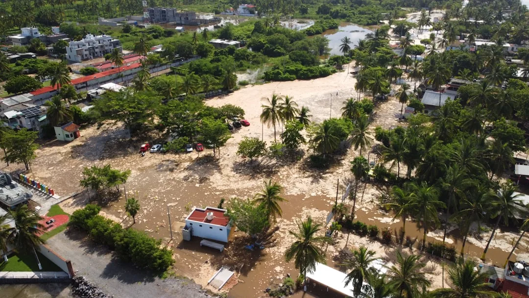 Florida State University professor studying Caribbean architecture and hurricane preparedness materials