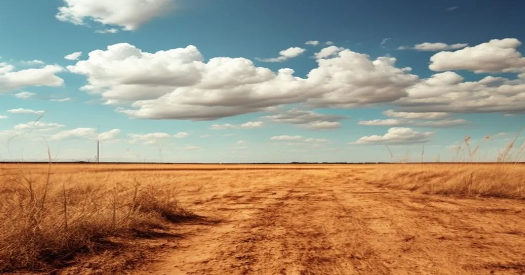 Bright sun shines over dry grass during a hot and dry weather pattern.