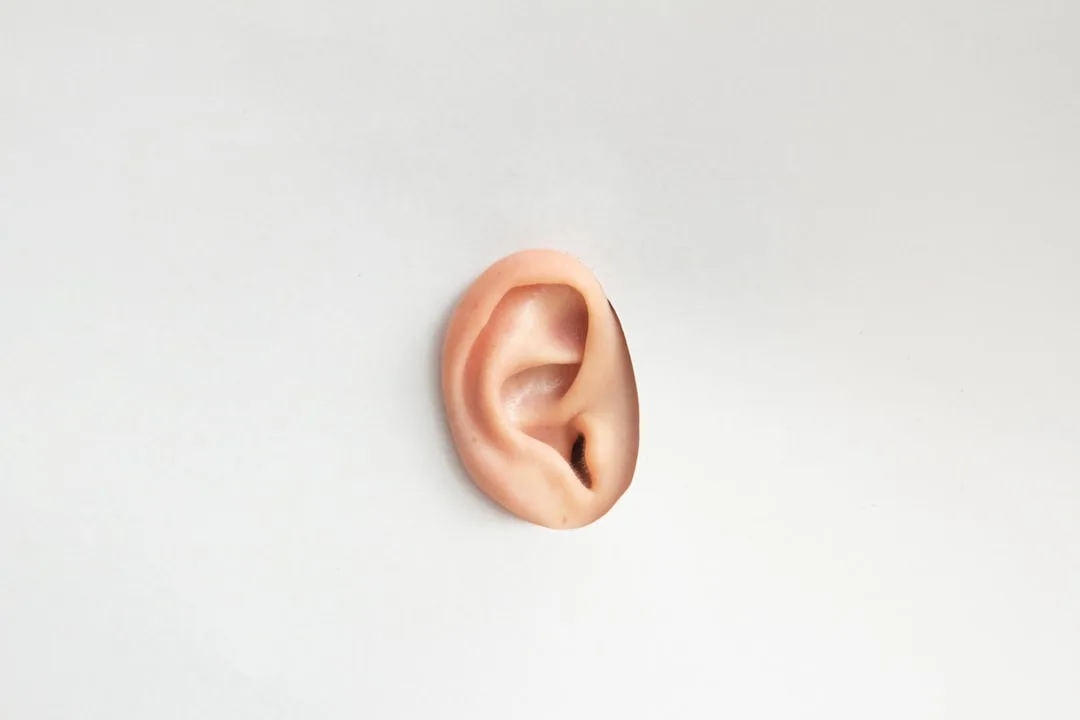 Israeli researchers study inner ear cells for hearing loss reversal